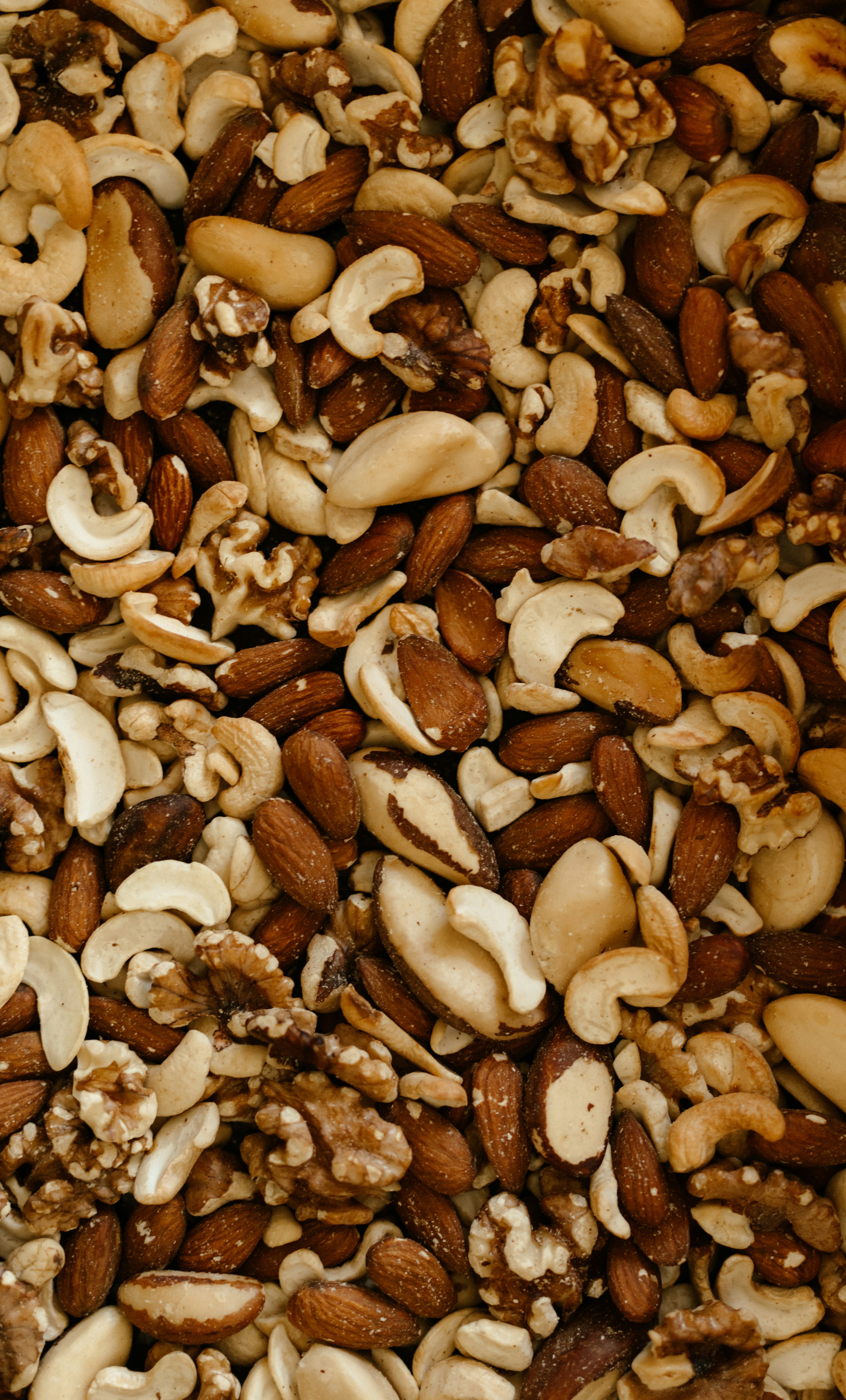 Dry Fruits & Edible Nuts
